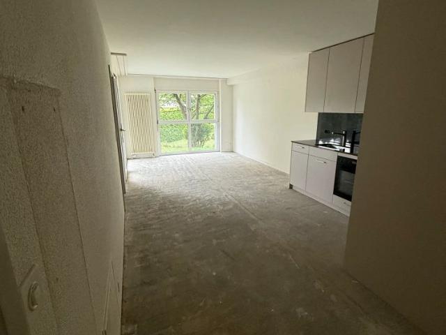 Apartment mieten in Einigen, Zürich