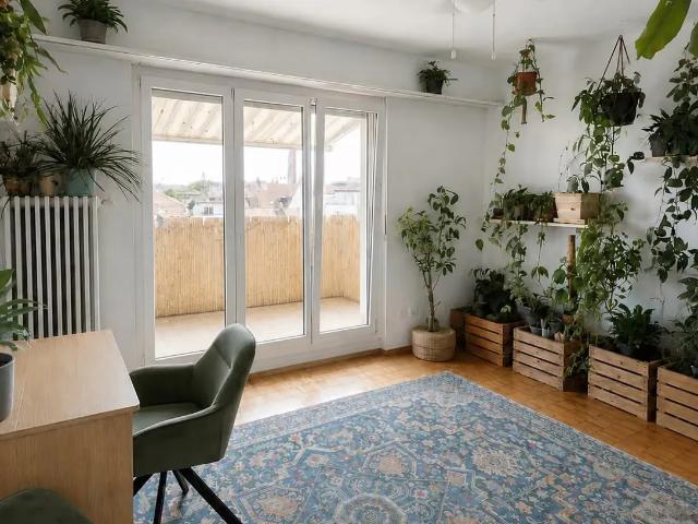 Apartment mieten in Kleinbasel, Basel
