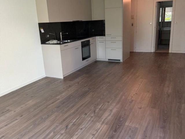 Apartment mieten in Weinegg, Zürich