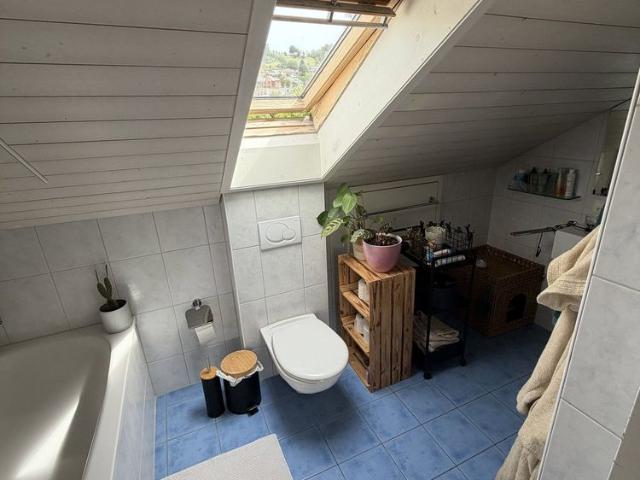 Apartment mieten in Meilen, Zürich