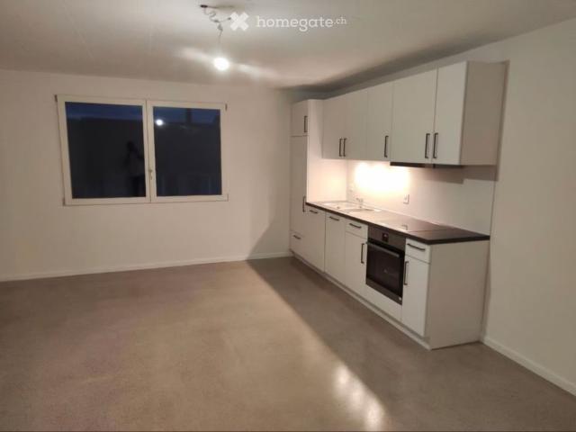 Apartment mieten in Niedergösgen, Solothurn