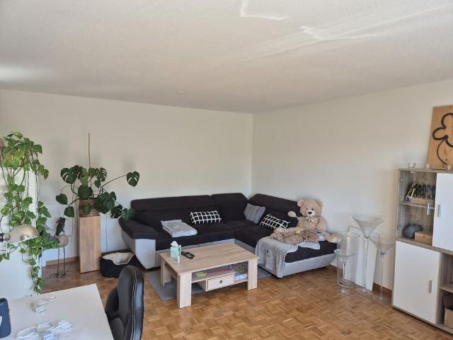 Apartment mieten in Rickenbach (ZH), Zürich