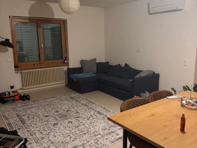 Apartment mieten in Tesserete, Tessin