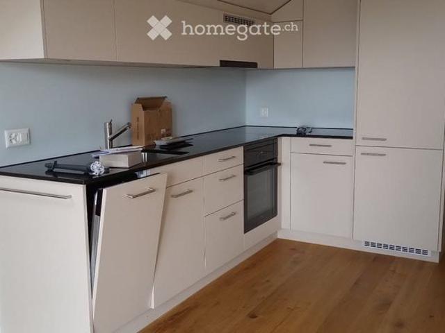 Apartment mieten in Feldbrunnen, Solothurn