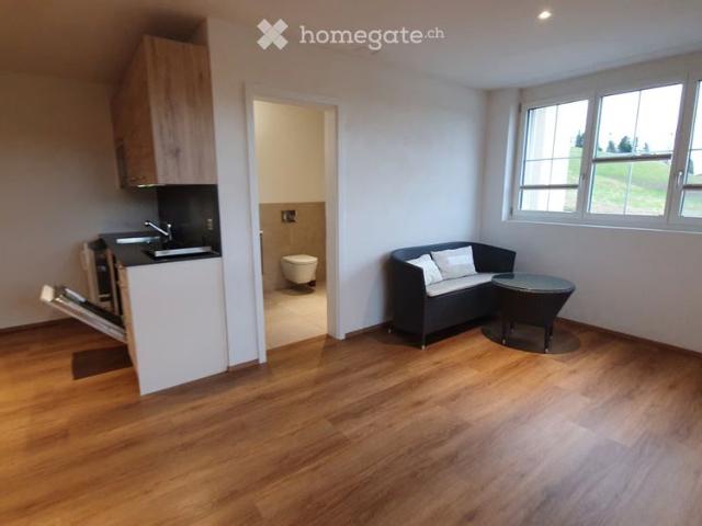 Apartment mieten in Lü