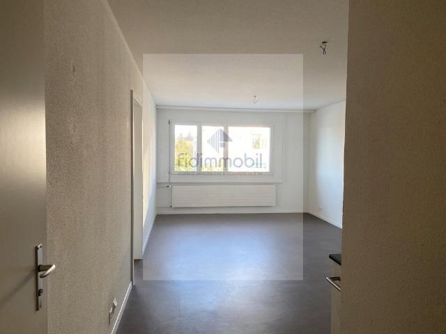Apartment mieten in La Chaux-de-Fonds