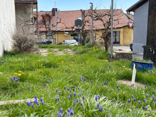 Apartment mieten in Provence, Waadt
