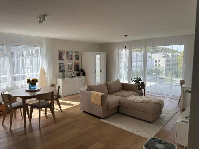 Apartment mieten in Einigen, Zürich