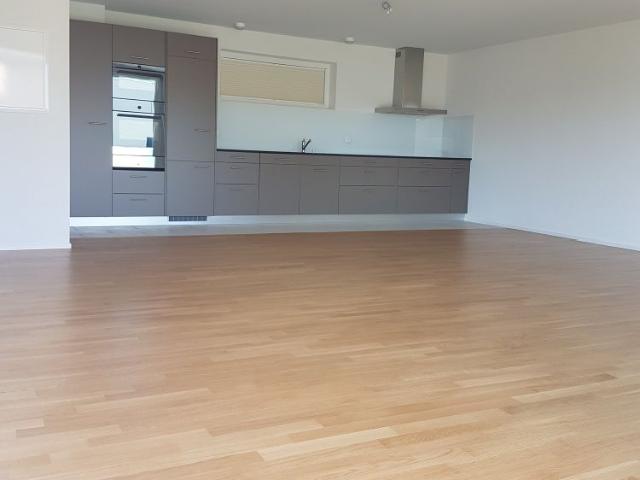 Apartment mieten in Winterthur, Zürich