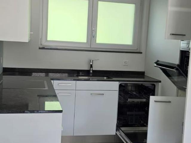 Apartment mieten in Menziken, Aargau