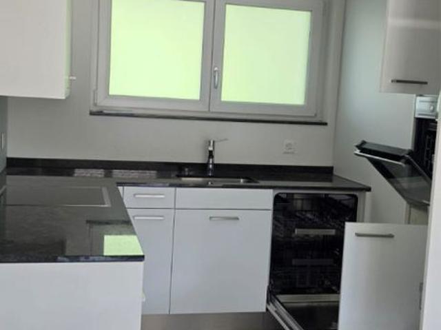 Apartment mieten in Menziken, Aargau