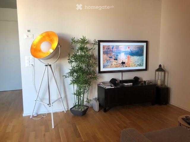 Apartment mieten in Muri Ag, Aargau