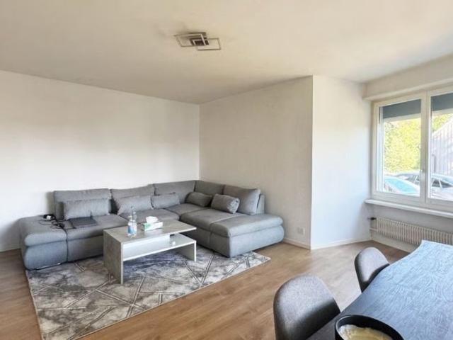 Apartment mieten in Grafschaft, Oberglatt