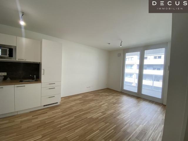 Apartment mieten in KG Innere Stadt, Wien