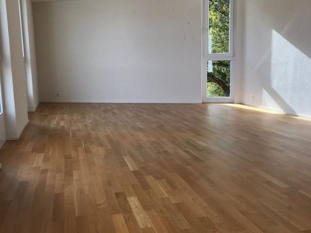 Apartment mieten in Windisch, Aargau