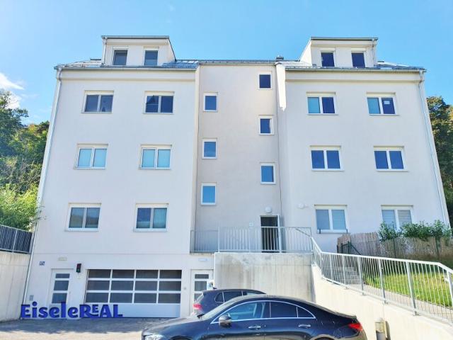 Wohnung mieten in Mödling, Bezirk Mödling