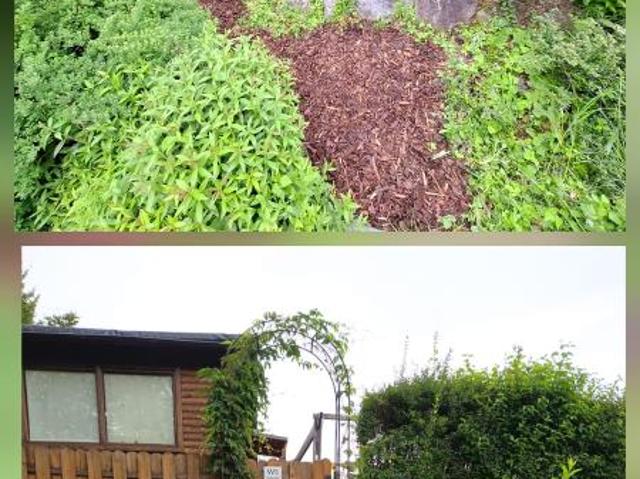 Einfamilienhaus kaufen in Asten, Oberösterreich