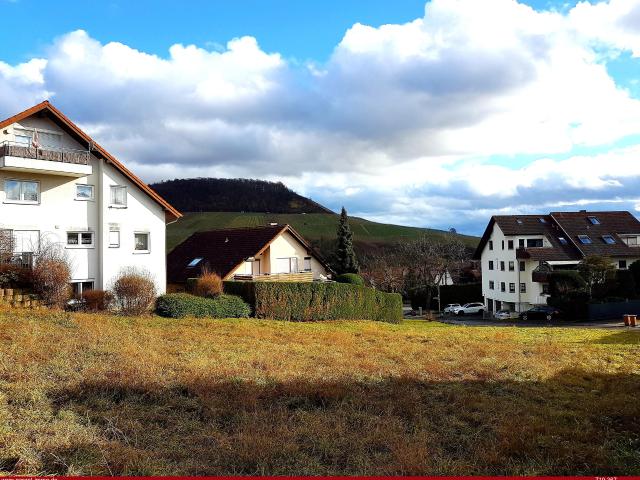 Apartment mieten in Erlenbach, Baden-Württemberg