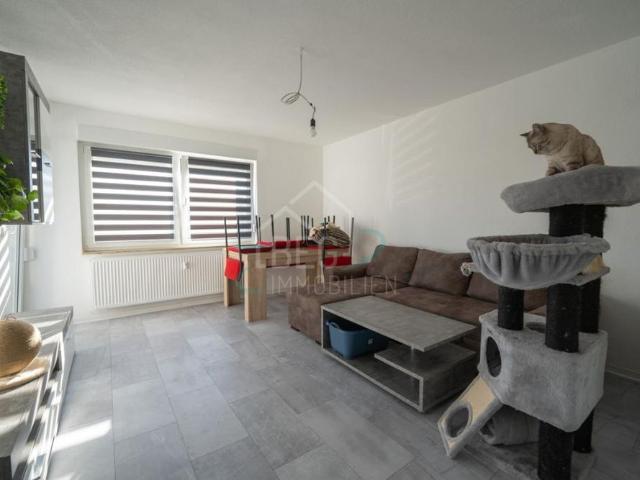 Apartment mieten in Weikersheim, Baden-Württemberg