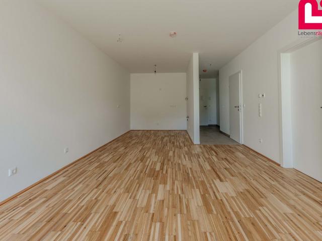 Wohnung kaufen in Tragwein, Oberösterreich