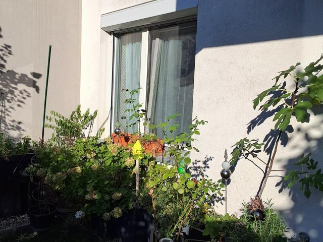 Apartment mieten in KG Innere Stadt, Wien