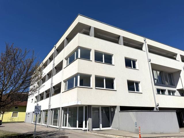 Apartment mieten in Enzenwinkl, Leonding