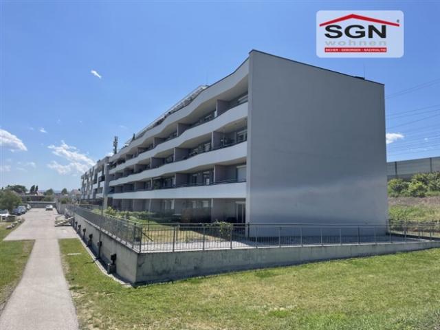 Wohnung mieten in Wiener Neustadt, Niederösterreich