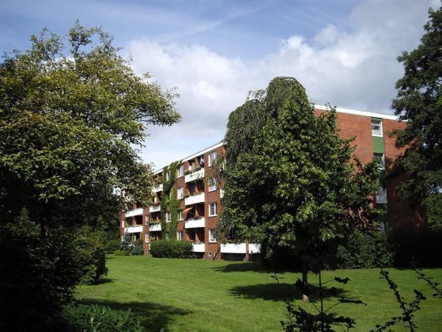 Apartment mieten in Hainholz, Elmshorn