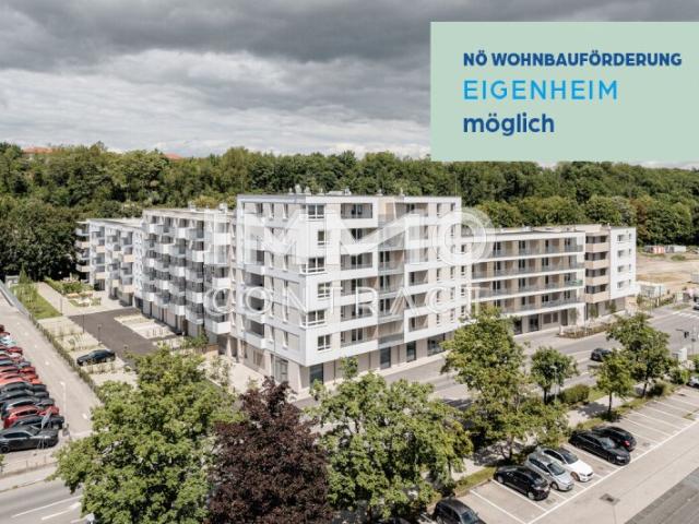 Wohnung kaufen in St. Pölten, Niederösterreich