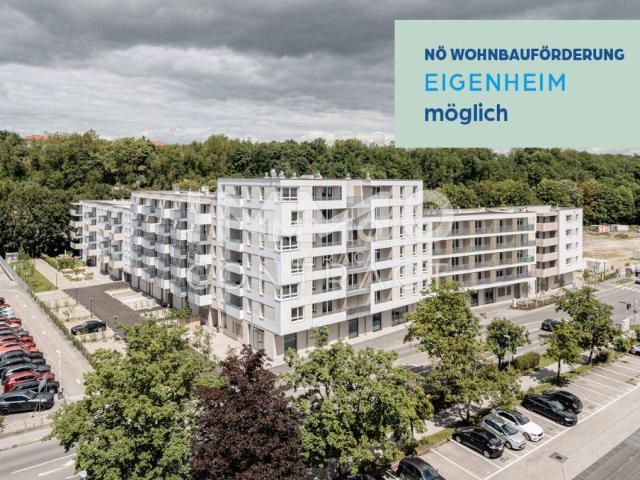 Apartment kaufen in Weitern, St. Pölten