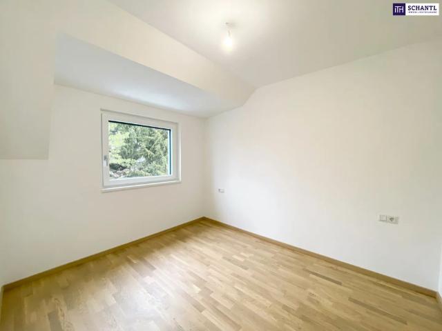 Apartment mieten in Donaustadt, Wien