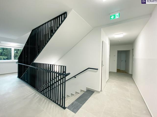 Wohnung mieten in Seestadt, Wien