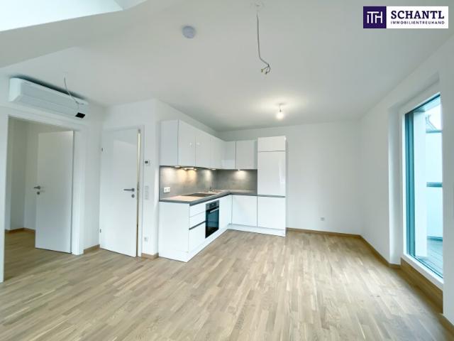 Dachgeschosswohnung mieten in Wien