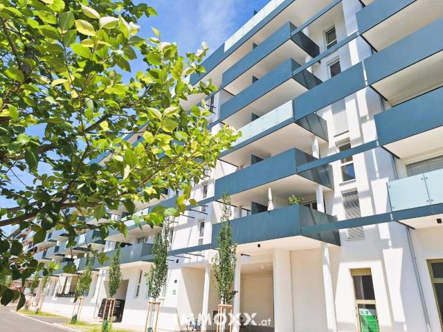 Apartment kaufen in Lend, Gersdorf-Feistritz