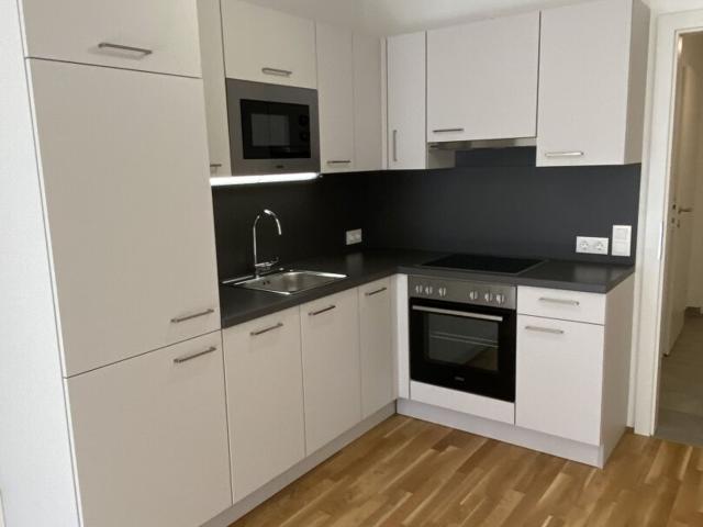 Wohnung mieten in Seestadt, Wien