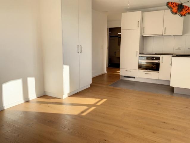 Wohnung mieten in Belfaux