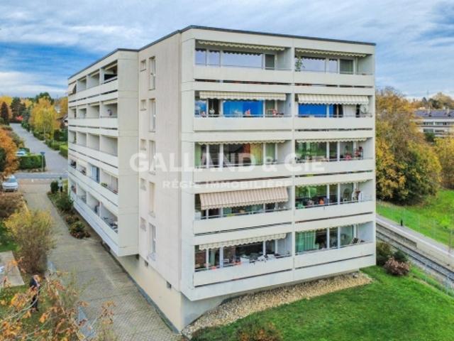 Wohnung mieten in Morges, Waadt