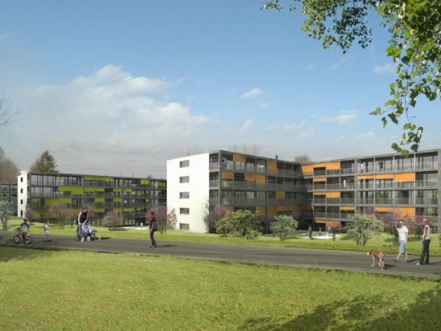 Wohnung mieten in Wetzikon (ZH), Zürich