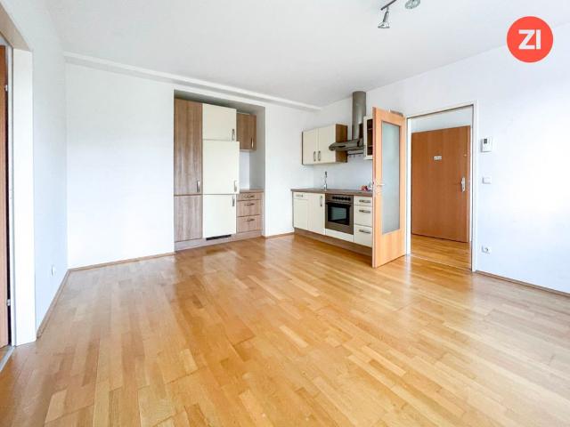 Apartment mieten in Altstadtviertel, Linz