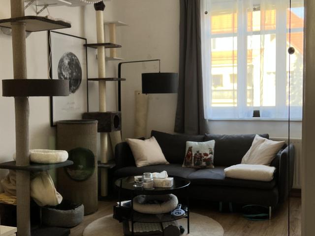 Apartment mieten in KG Penzing, Wien