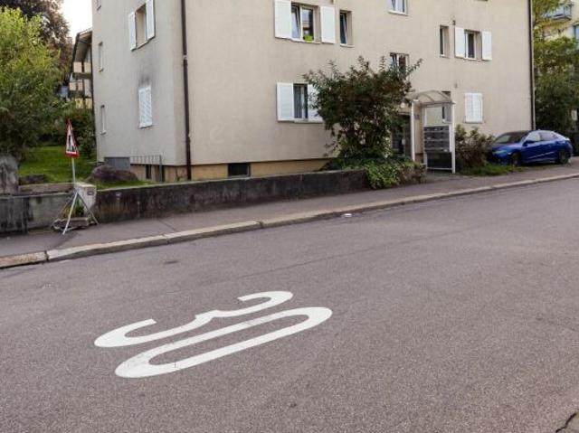 Apartment mieten in Einigen, Zürich