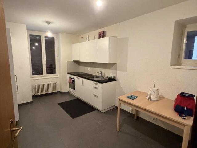 Wohnung mieten in Les Eaux-Vives, Genève