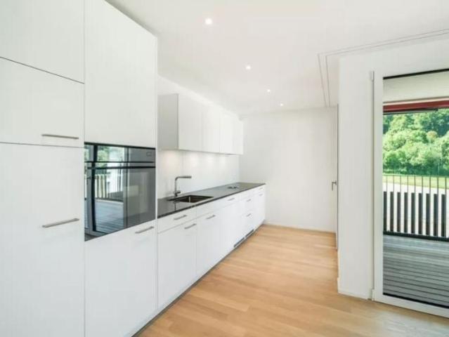 Apartment mieten in Feuerthalen, Zürich