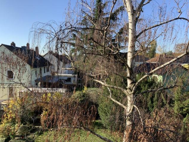 Apartment mieten in Frankenthal Kernstadt, Frankenthal