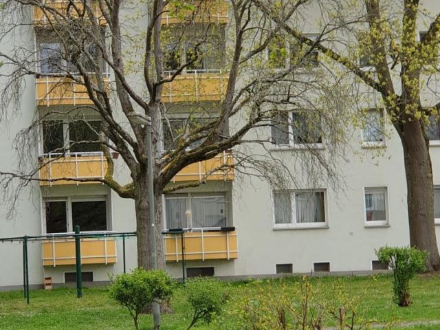 Apartment mieten in Sachsenhausen Süd, Sachsenhausen