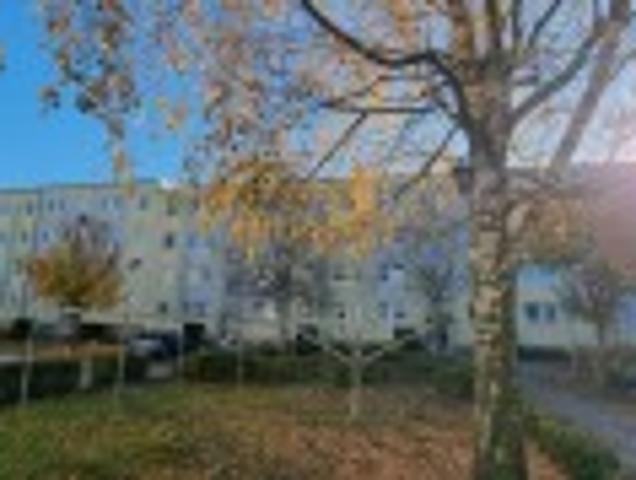 Apartment mieten in Pasewalk, Mecklenburg-Vorpommern