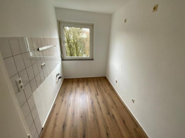 Apartment mieten in Eschen, Plettenberg