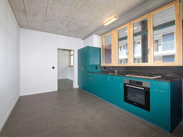 Apartment mieten in Schlieren, Bezirk Dietikon
