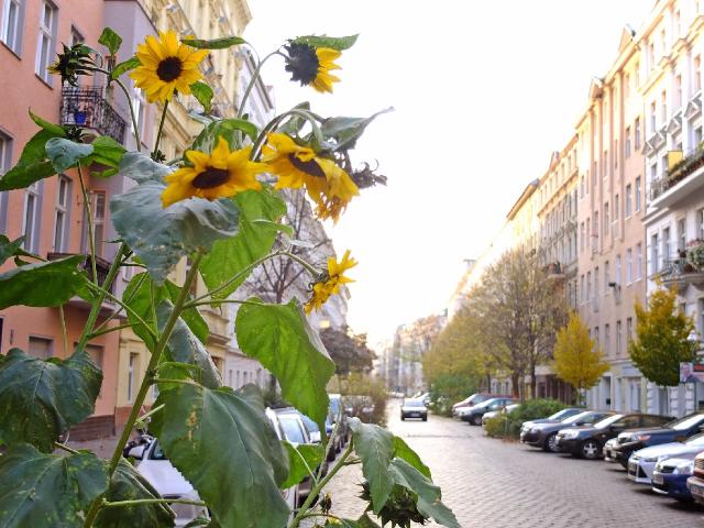 Wohnung kaufen in Moabit, Berlin