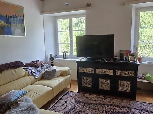 Apartment mieten in Wädenswil, Zürich